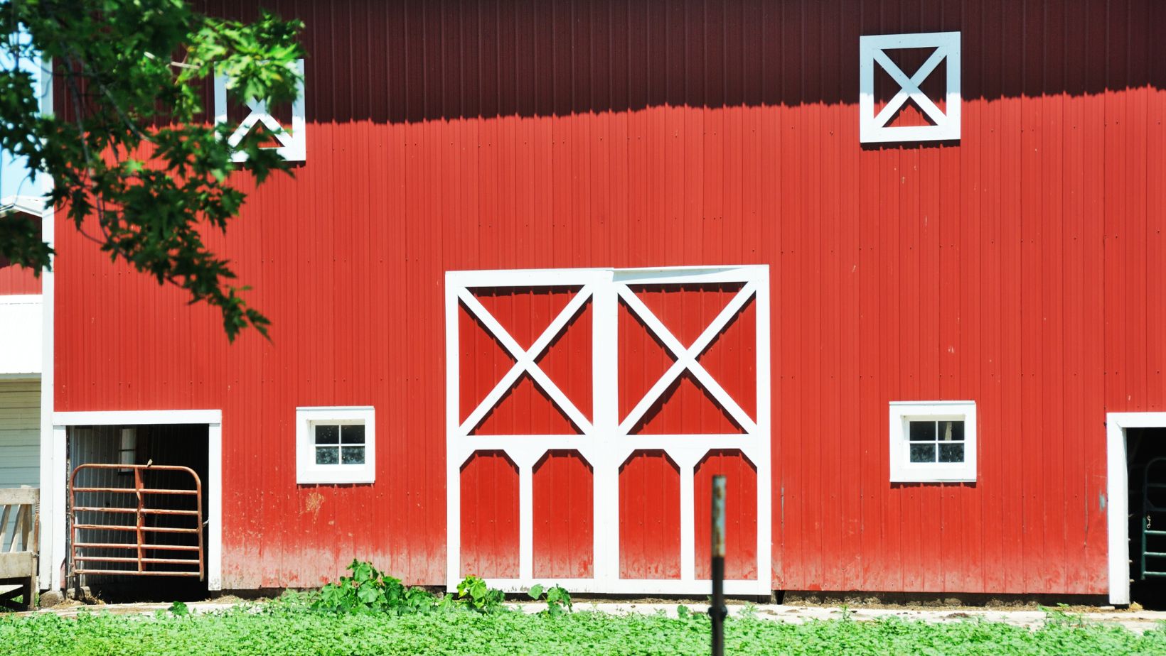 closet double barn doors