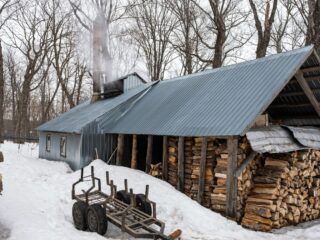 Image1