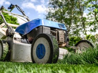 backyard design ideas, outdoor living spaces, backyard landscaping, patio landscaping, garden makeover, outdoor aesthetic upgrades, functional backyard design, backyard renovation tips, backyard entertainment areas, small backyard improvements